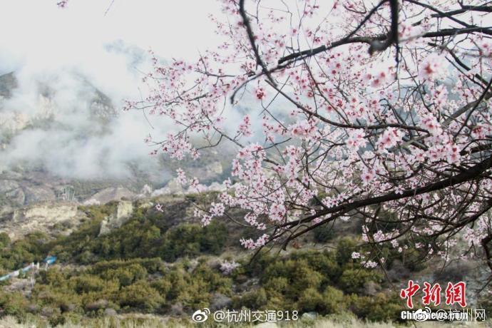 KGL職業(yè)聯(lián)賽開幕冠軍直通KPL賽事 總的賽開賽事來說