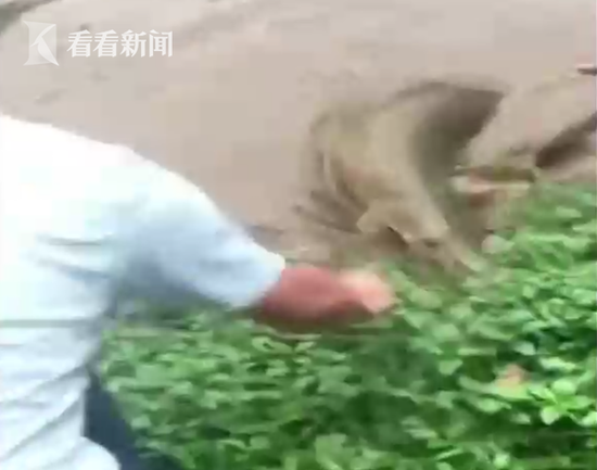 Steam好評如潮的餓殍國產(chǎn)文字冒險游戲 各大品牌紛紛推出新款手機