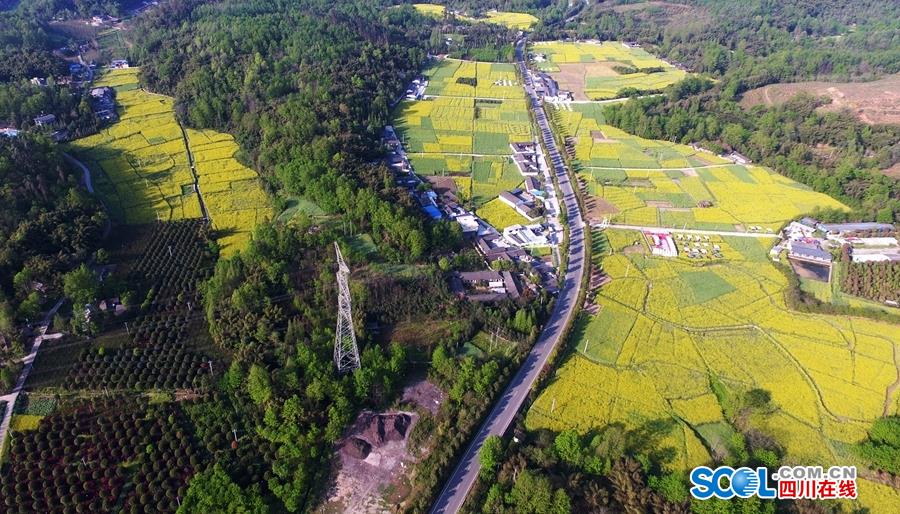 RTX 5090 FE顯卡設計確認四槽原型已存在