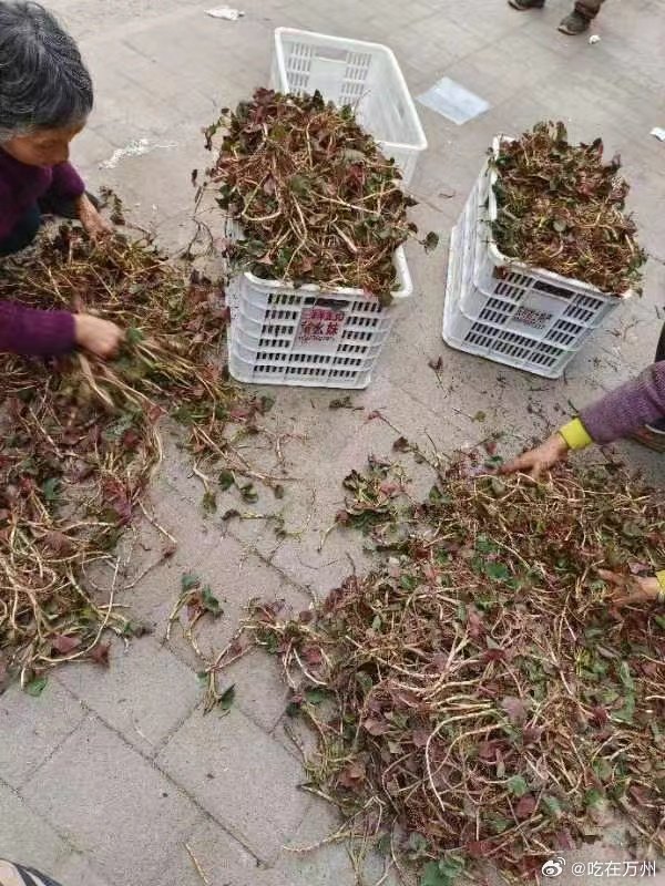 EA股價大跌21龍騰世紀4銷量慘淡