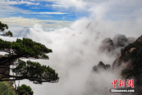 33號(hào)遠(yuǎn)征隊(duì)新預(yù)告公布4月24日首發(fā)加入XGP1 午夜之南4月8日發(fā)售黑人女主新演示曝光