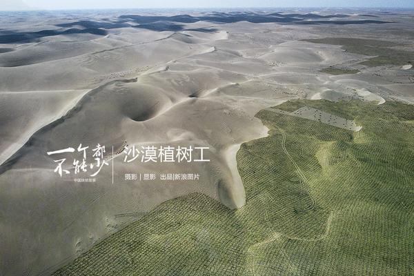 33號(hào)遠(yuǎn)征隊(duì)新預(yù)告公布4月24日首發(fā)加入XGP1 午夜之南4月8日發(fā)售黑人女主新演示曝光