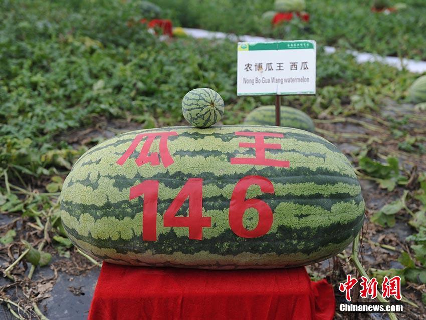 RTX 5090 3DMark超頻版性能飆升39游戲新霸主