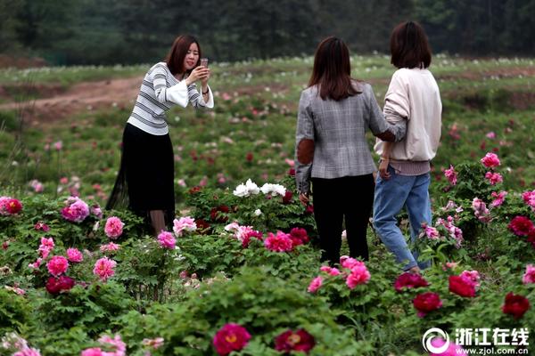 33號遠(yuǎn)征隊新預(yù)告公布4月24日首發(fā)加入XGP1 午夜之南4月8日發(fā)售黑人女主新演示曝光