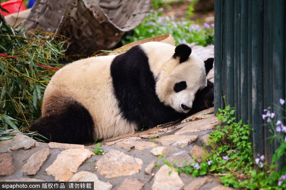 Moloco發(fā)現(xiàn)移動游戲App營銷領(lǐng)域的巨大潛力