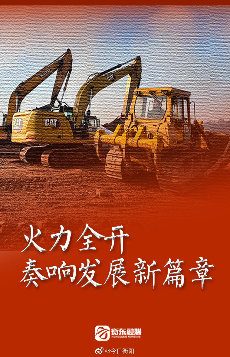 inZOI可愛小貓紅包封面